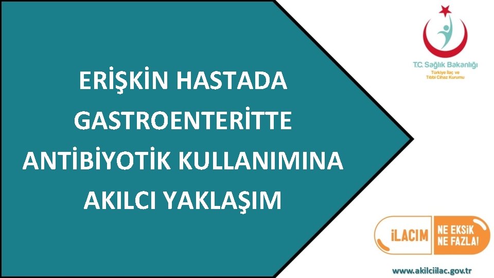 ERİŞKİN HASTADA GASTROENTERİTTE ANTİBİYOTİK KULLANIMINA AKILCI YAKLAŞIM 