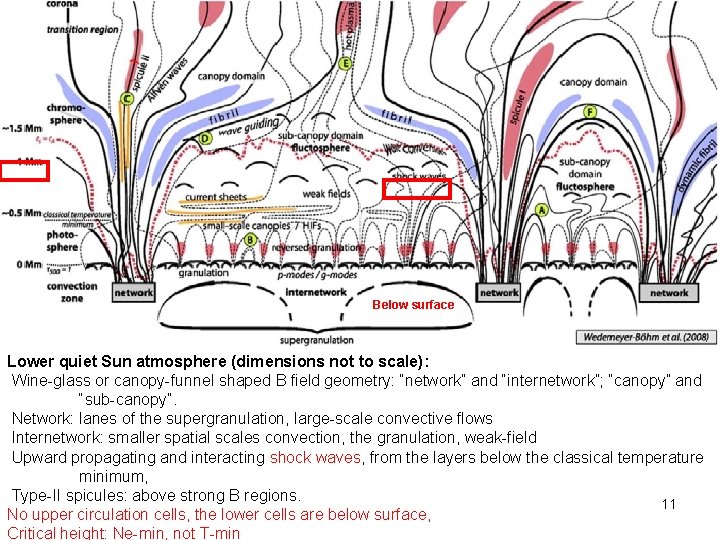 Below surface Lower quiet Sun atmosphere (dimensions not to scale): Wine-glass or canopy-funnel shaped