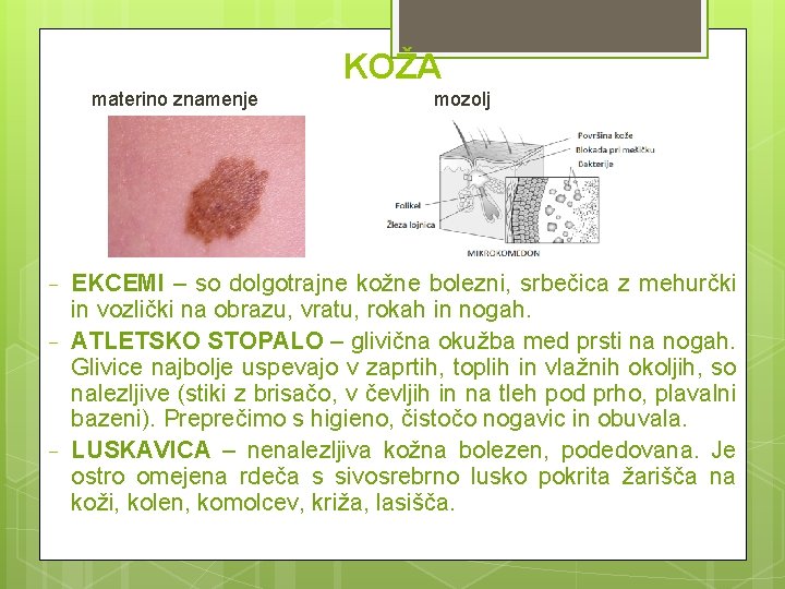 KOŽA materino znamenje − − − mozolj EKCEMI – so dolgotrajne kožne bolezni, srbečica