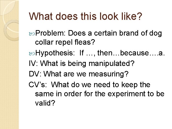 What does this look like? Problem: Does a certain brand of dog collar repel