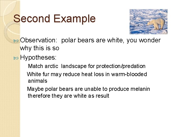 Second Example Observation: polar bears are white, you wonder why this is so Hypotheses: