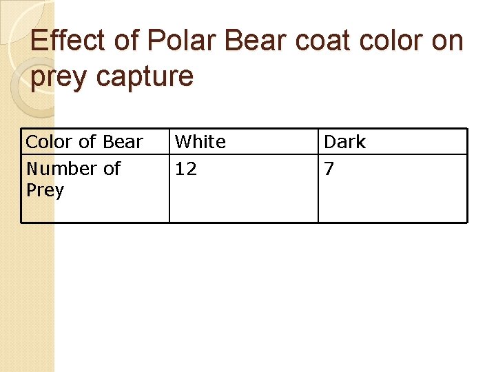 Effect of Polar Bear coat color on prey capture Color of Bear Number of