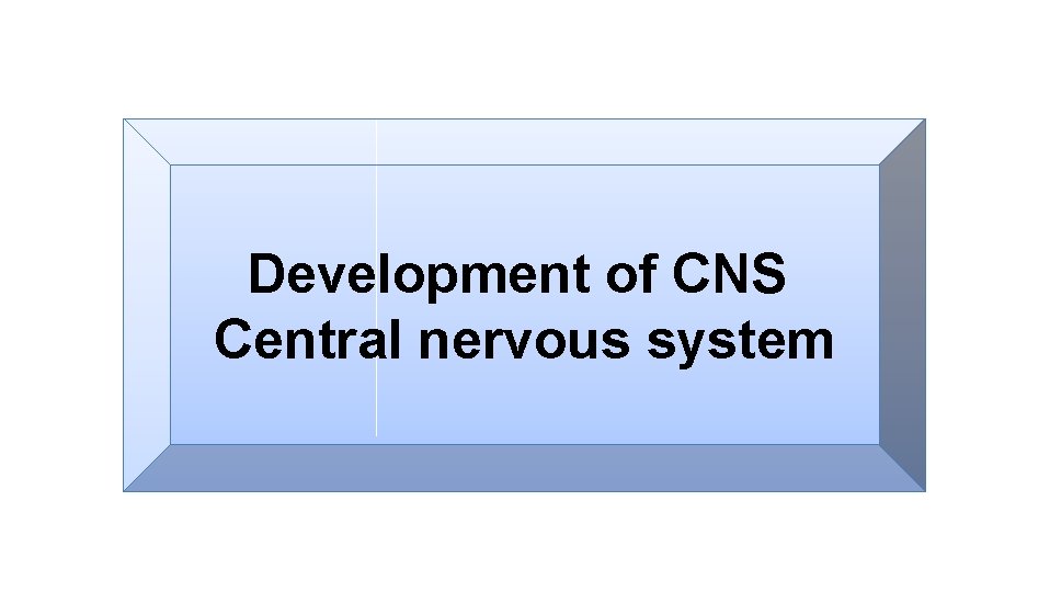 Development of CNS Central nervous system 