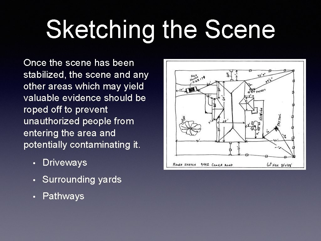 Sketching the Scene Once the scene has been stabilized, the scene and any other Sketching the Scene Once the scene has been stabilized, the scene and any other