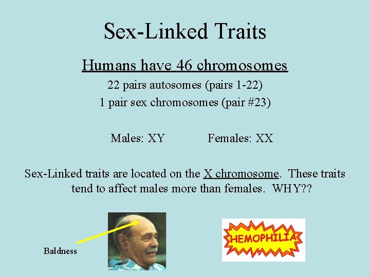 Sex-Linked Traits Humans have 46 chromosomes 22 pairs autosomes (pairs 1 -22) 1 pair