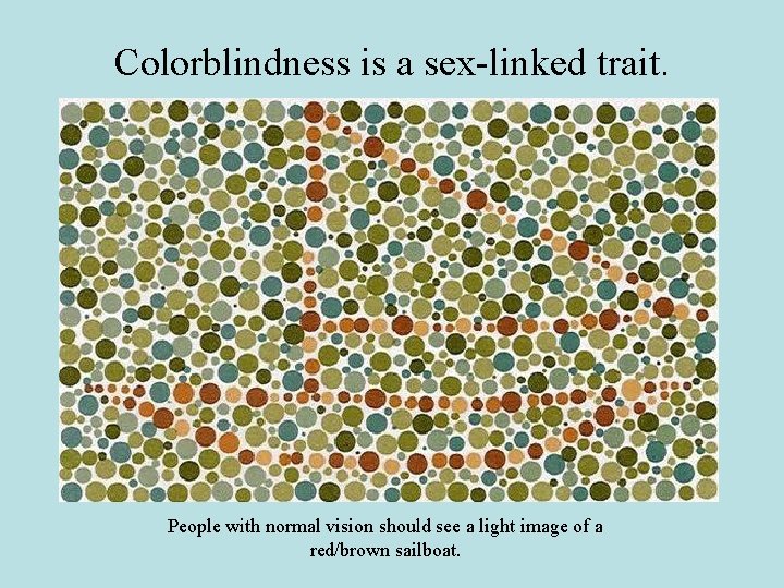 Colorblindness is a sex-linked trait. People with normal vision should see a light image