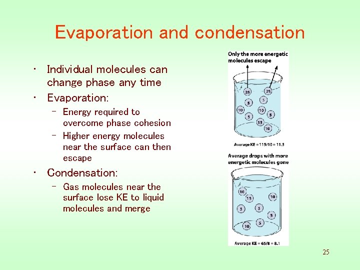 Evaporation and condensation • Individual molecules can change phase any time • Evaporation: –