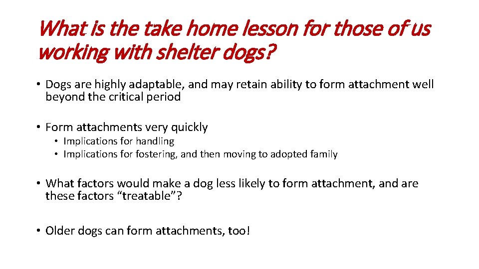 What is the take home lesson for those of us working with shelter dogs? What is the take home lesson for those of us working with shelter dogs?