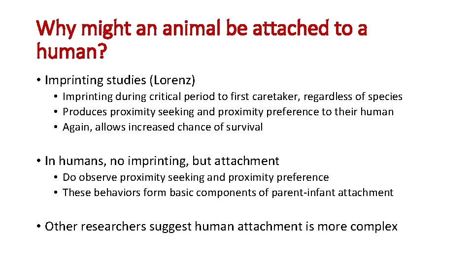 Why might an animal be attached to a human? • Imprinting studies (Lorenz) •