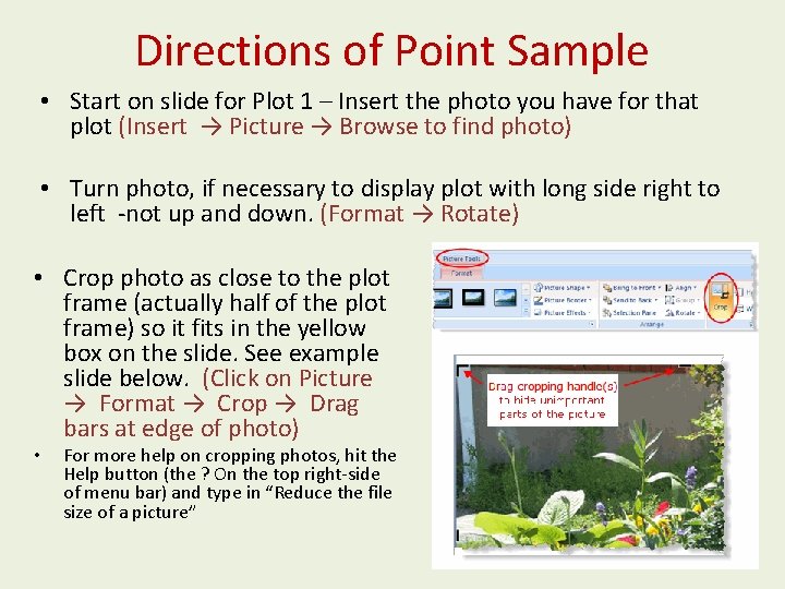 Directions of Point Sample Start on slide for