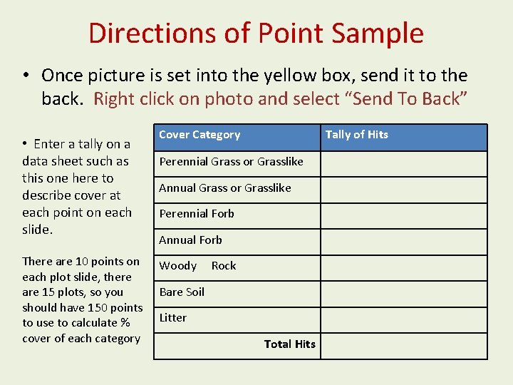 Directions of Point Sample • Once picture is set into the yellow box, send
