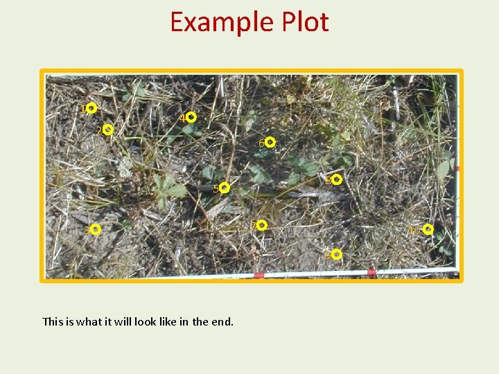 Example Plot 1 2 4 6 8 5 3 7 10 9 This is