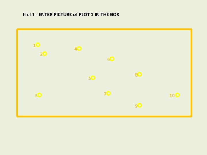 Plot 1 –ENTER PICTURE of PLOT 1 IN THE BOX 1 2 4 6