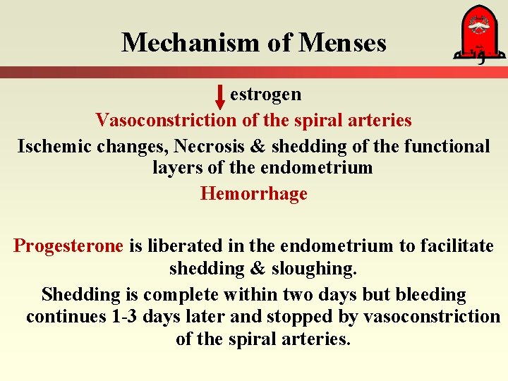 Mechanism of Menses estrogen Vasoconstriction of the spiral arteries Ischemic changes, Necrosis & shedding