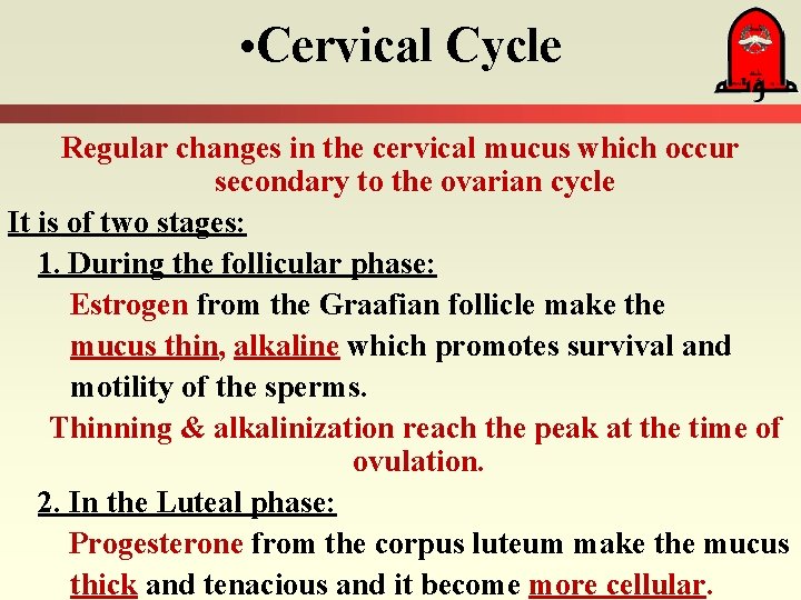  • Cervical Cycle Regular changes in the cervical mucus which occur secondary to