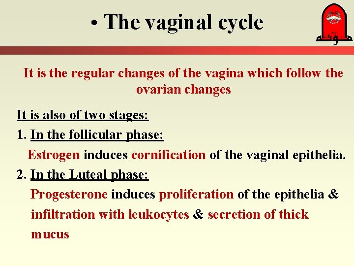  • The vaginal cycle It is the regular changes of the vagina which