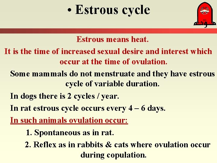  • Estrous cycle Estrous means heat. It is the time of increased sexual