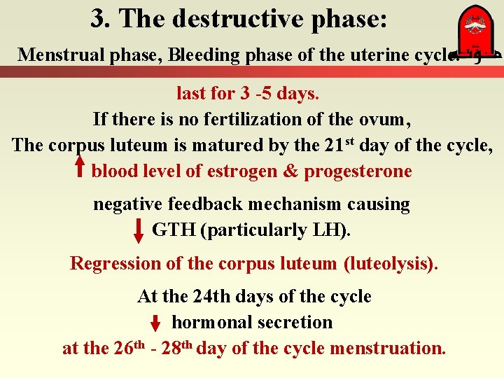 3. The destructive phase: Menstrual phase, Bleeding phase of the uterine cycle. last for
