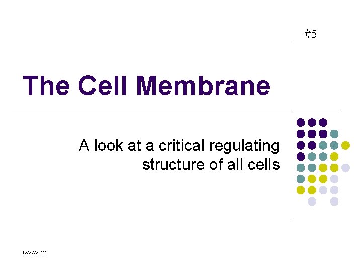 #5 The Cell Membrane A look at a critical regulating structure of all cells