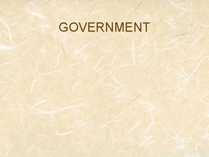GOVERNMENT 