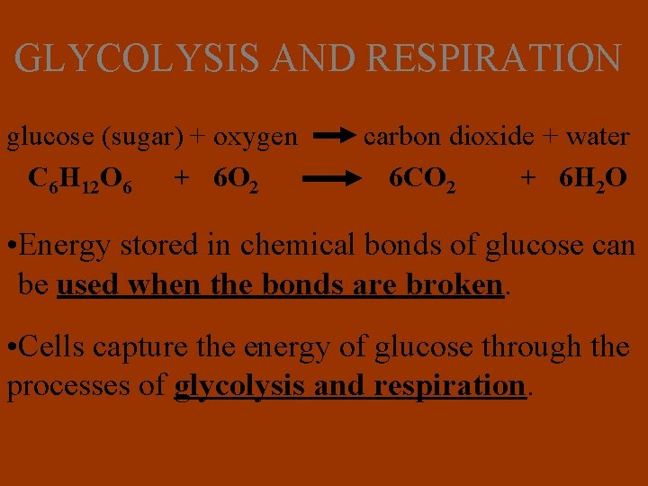 GLYCOLYSIS AND RESPIRATION glucose (sugar) + oxygen C 6 H 12 O 6 +