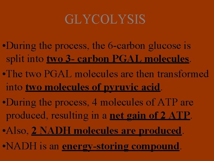 GLYCOLYSIS • During the process, the 6 -carbon glucose is split into two 3