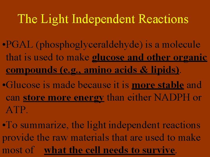 The Light Independent Reactions • PGAL (phosphoglyceraldehyde) is a molecule that is used to