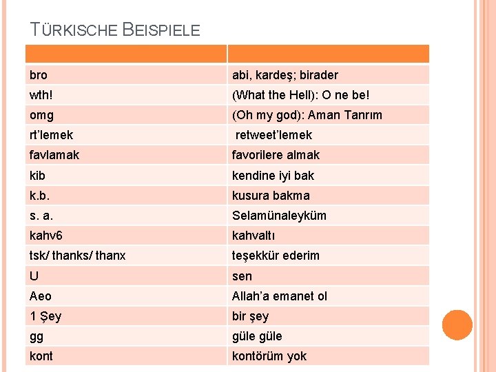 TÜRKISCHE BEISPIELE bro abi, kardeş; birader wth! (What the Hell): O ne be! omg