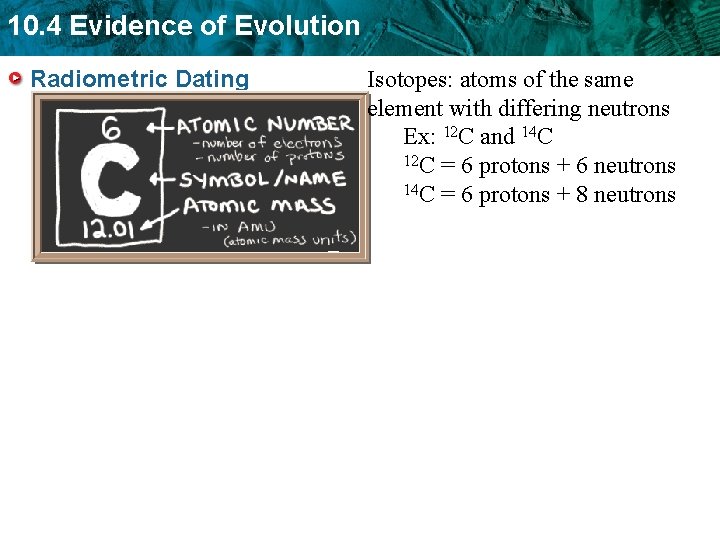 10. 4 Evidence of Evolution Radiometric Dating Isotopes: atoms of the same element with