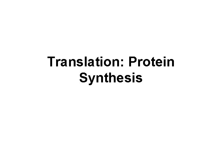 Translation: Protein Synthesis 