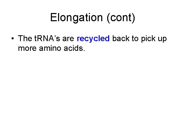 Elongation (cont) • The t. RNA’s are recycled back to pick up more amino