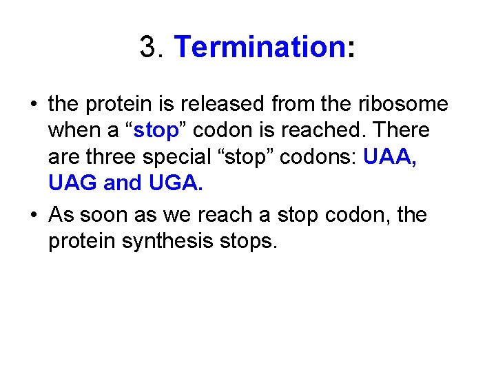 3. Termination: • the protein is released from the ribosome when a “stop” codon