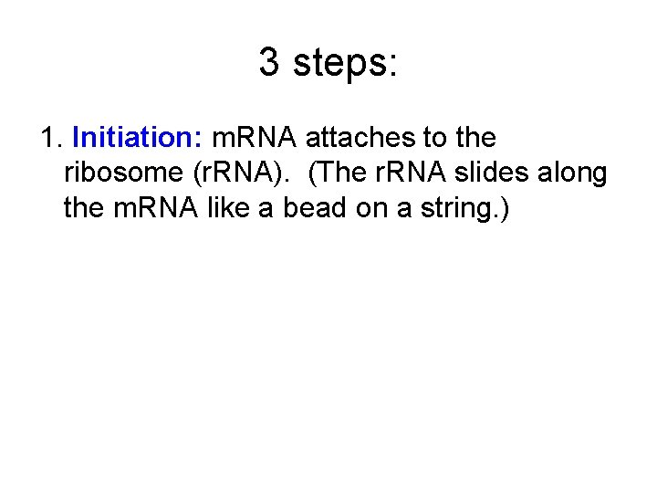 3 steps: 1. Initiation: m. RNA attaches to the ribosome (r. RNA). (The r.