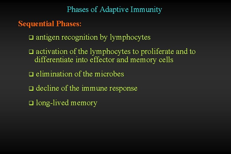 Phases of Adaptive Immunity Sequential Phases: q antigen recognition by lymphocytes q activation of
