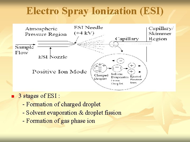 Electro Spray Ionization (ESI) n 3 stages of ESI : - Formation of charged