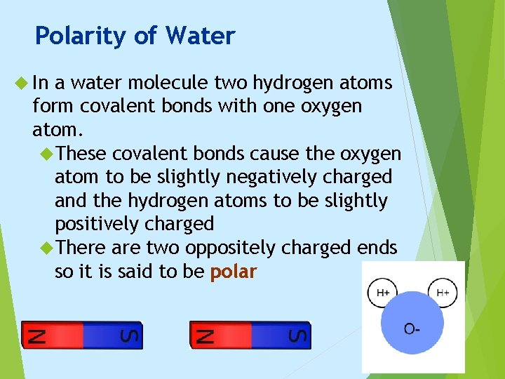 Polarity of Water In a water molecule two hydrogen atoms form covalent bonds with