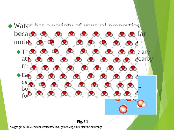  Water has a variety of unusual properties because of attractions between these polar