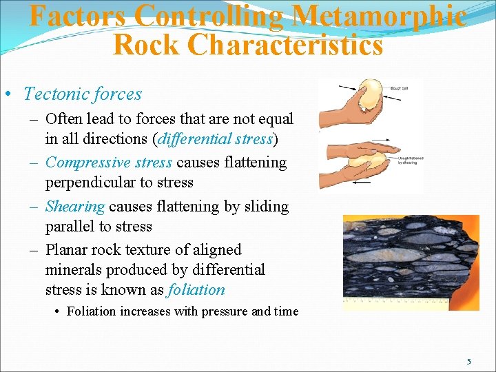 Factors Controlling Metamorphic Rock Characteristics • Tectonic forces – Often lead to forces that