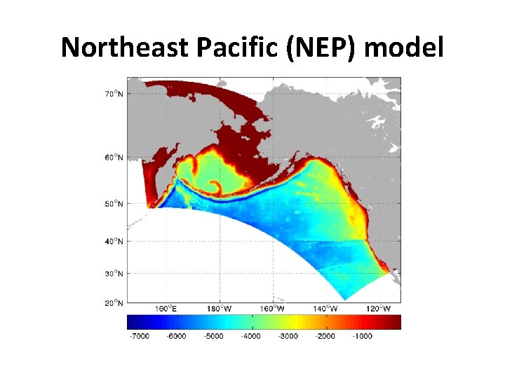 Northeast Pacific (NEP) model 