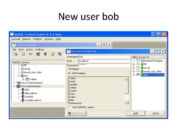 New user bob 