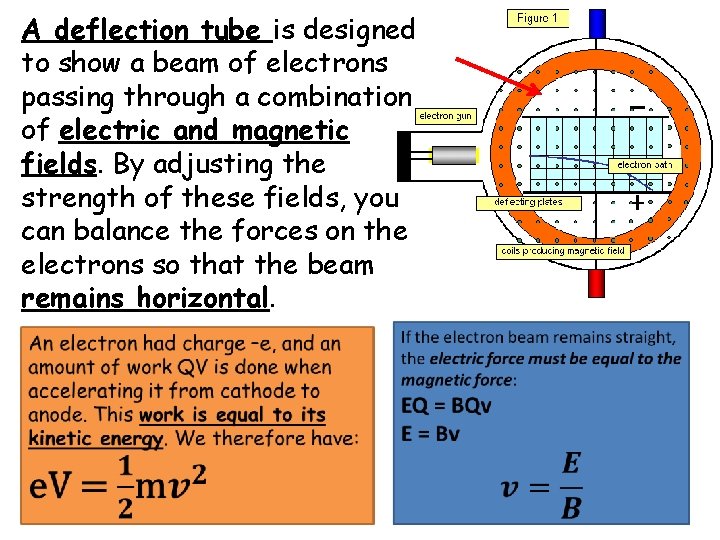 A deflection tube is designed to show a beam of electrons passing through a