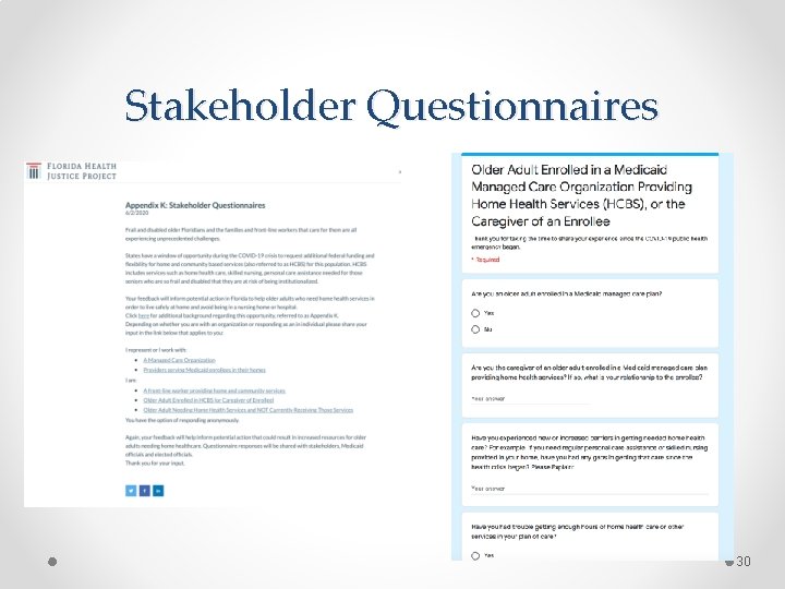 Stakeholder Questionnaires 30 
