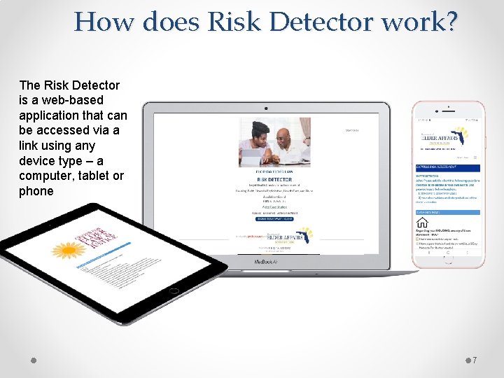 How does Risk Detector work? The Risk Detector is a web-based application that can