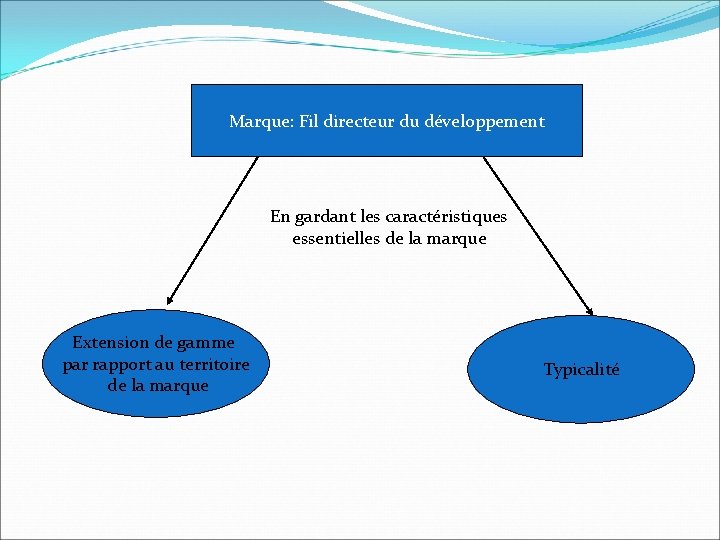 Marque: Fil directeur du développement En gardant les caractéristiques essentielles de la marque Extension Marque: Fil directeur du développement En gardant les caractéristiques essentielles de la marque Extension