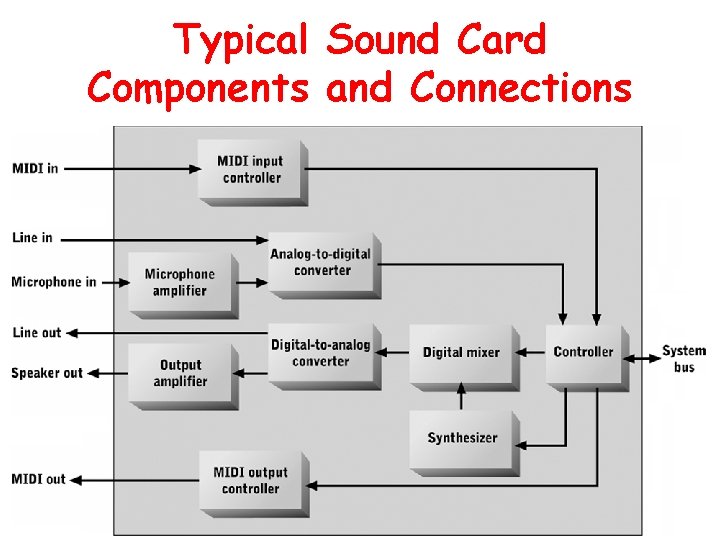 Typical Sound Card Components and Connections 