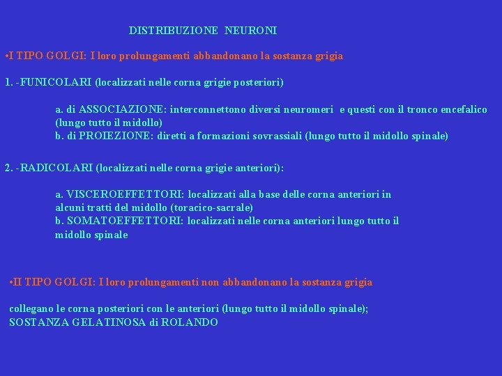 DISTRIBUZIONE NEURONI • I TIPO GOLGI: I loro prolungamenti abbandonano la sostanza grigia 1.