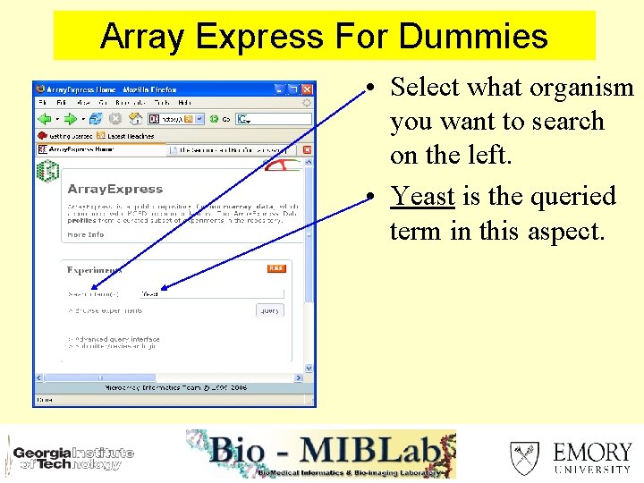 Array Express For Dummies • Select what organism you want to search on the