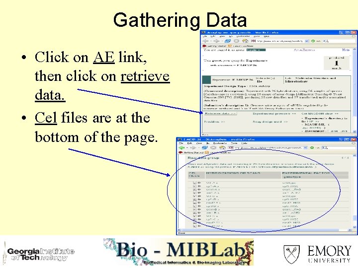 Gathering Data • Click on AE link, then click on retrieve data. • Cel