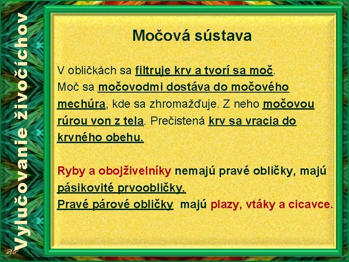 Vylučovanie živočíchov Močová sústava V obličkách sa filtruje krv a tvorí sa moč. Moč