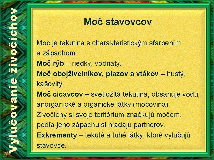 Vylučovanie živočíchov Moč stavovcov Moč je tekutina s charakteristickým sfarbením a zápachom. Moč rýb